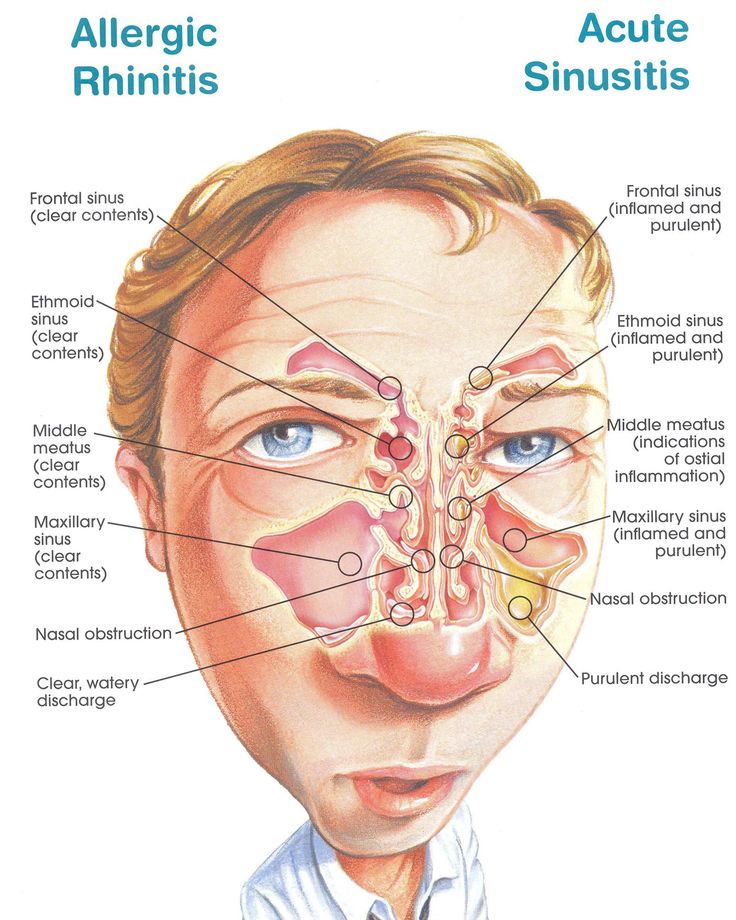 Dr Thomas Auricare Ent Clinic ENGAPUZHA